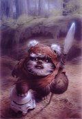 Serie Heroes - Wicket