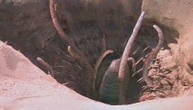 El nuevo Sarlacc