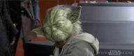 Captura 7