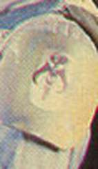 Detalle hombrera Fett