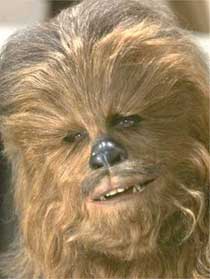 Chewie