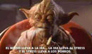 Yoda 'liado'