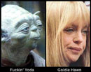 Goldie-Yoda