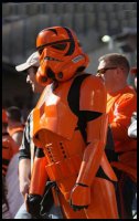 Clon de los Bengals