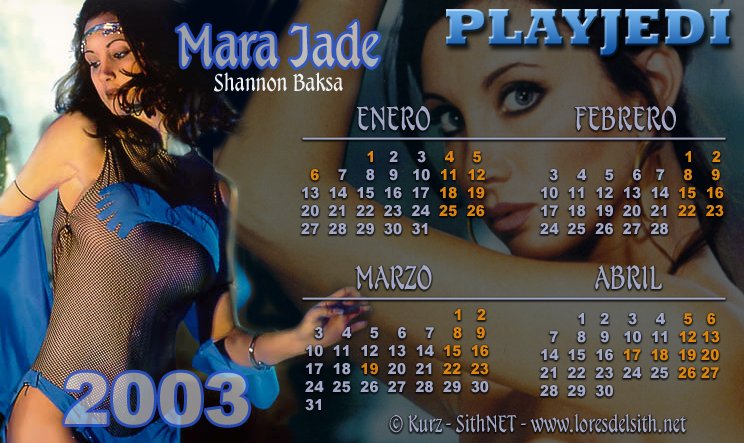 Calendario 2003 (Enero - Abril)