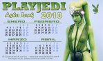 Calendario 2010 (Enero - Abril)