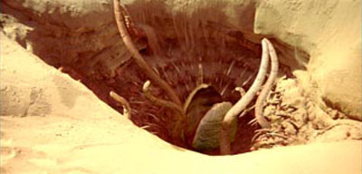 El Sarlacc de Tattoine