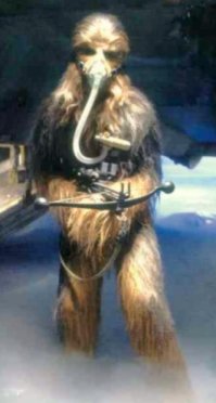 Chewie explora fuera del Halcn