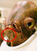 Ackbar