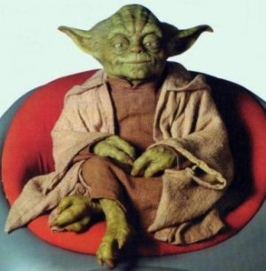 yoda03.jpg